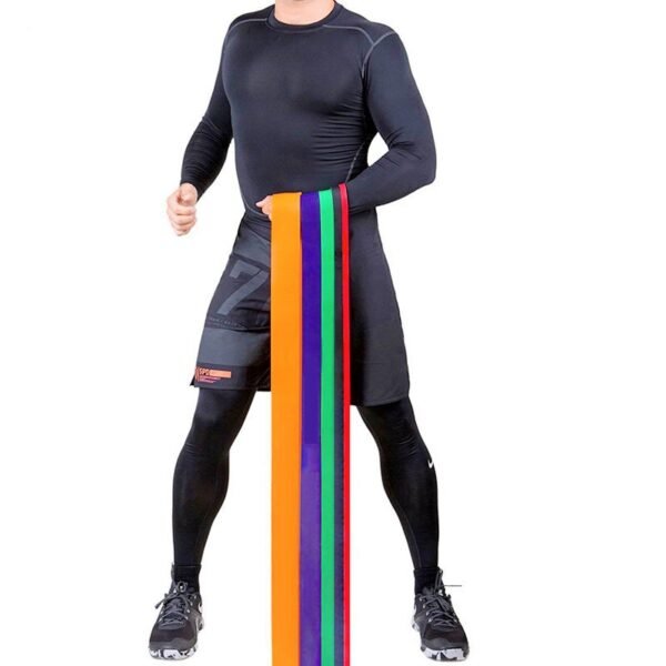 Pull Up Assistance Bands, Resistance Bands Set of 6, with Door Anchor for Men & Women, Heavy Duty Stretch Exercise Bands, Resistance Bands for Working Out, Muscle Training, Physical Therapy