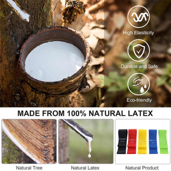 Resistance Loop Exercise Bands with Instruction Guide and Carry Bag, Set of 5