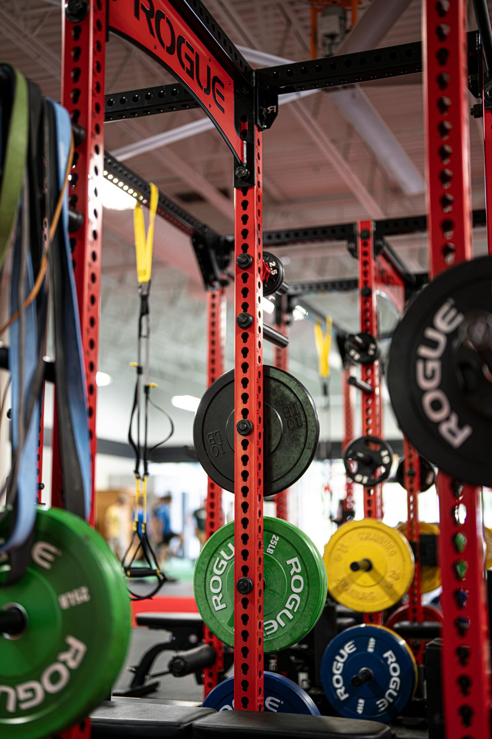 Free stock photo of barbell, exercise equipment, fitness