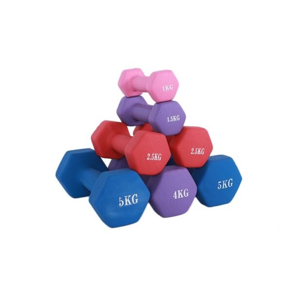 Dumbbells Set | Rubber Coated Hand Weights for Home Gym Workouts & Strength Training