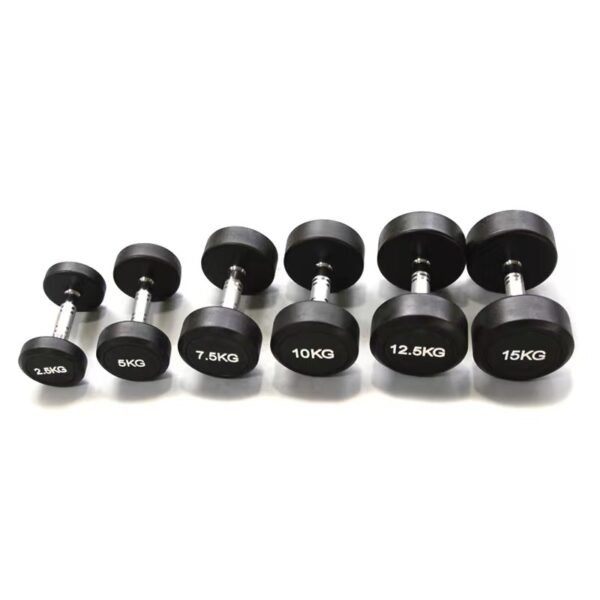 2.5-60kg Dumbbells | Cast Iron with Thick Urethane Coating | Versatile Home Fitness Equipment