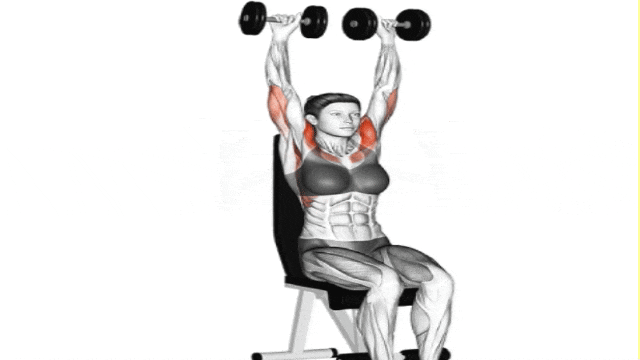 Build Arnold-Inspired Boulder Shoulders with 15 Best Shoulder Exercises (1)