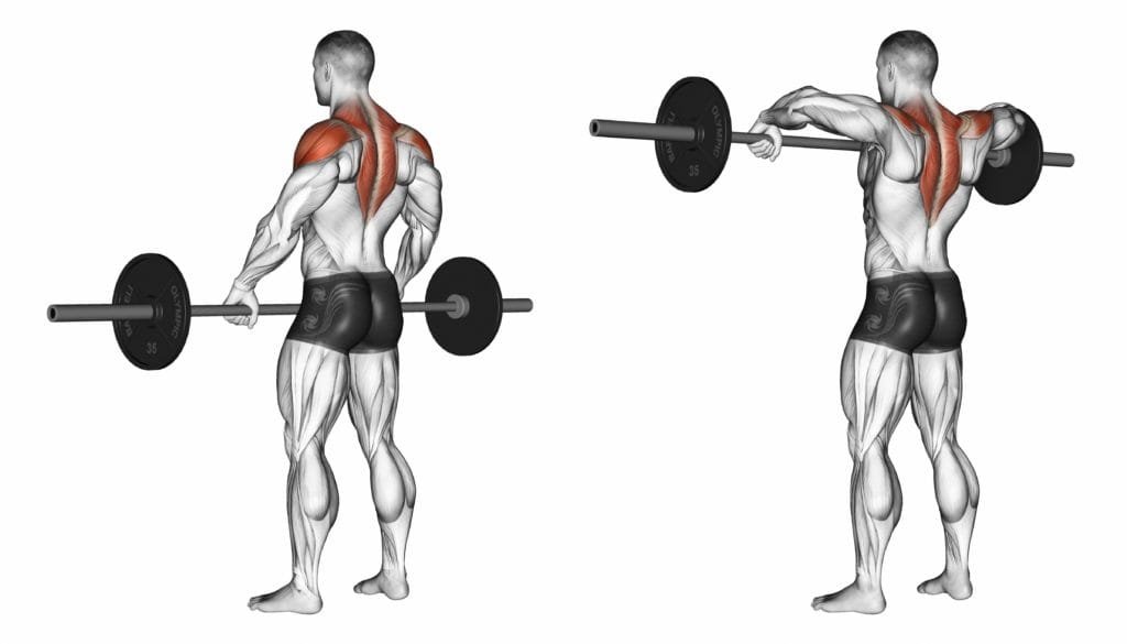 Build Arnold-Inspired Boulder Shoulders with 15 Best Shoulder Exercises (1)