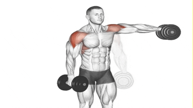Build Arnold-Inspired Boulder Shoulders with 15 Best Shoulder Exercises (2)