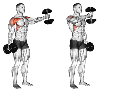 Build Arnold-Inspired Boulder Shoulders with 15 Best Shoulder Exercises (2)