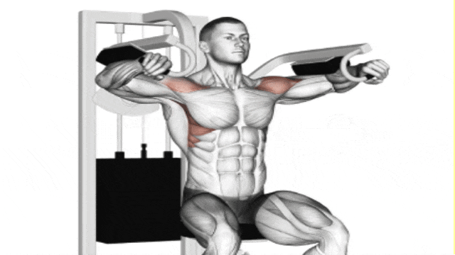 Build Arnold-Inspired Boulder Shoulders with 15 Best Shoulder Exercises (3)