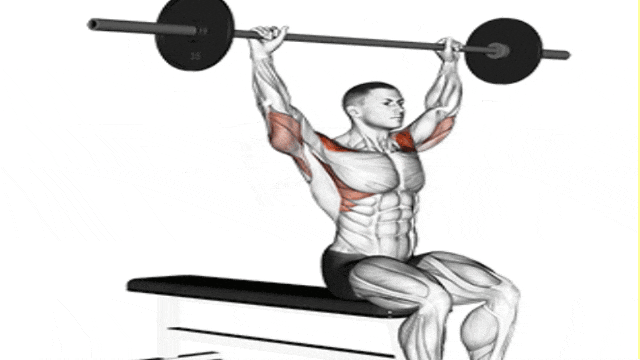 Build Arnold-Inspired Boulder Shoulders with 15 Best Shoulder Exercises (4)