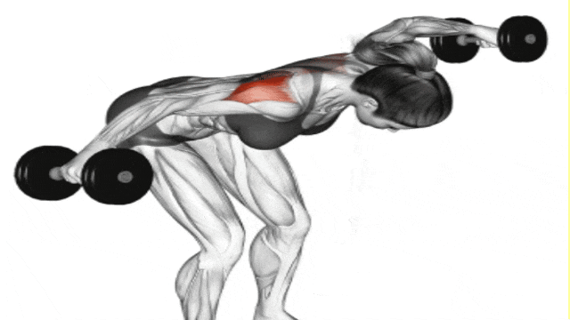 Build Arnold-Inspired Boulder Shoulders with 15 Best Shoulder Exercises (5)