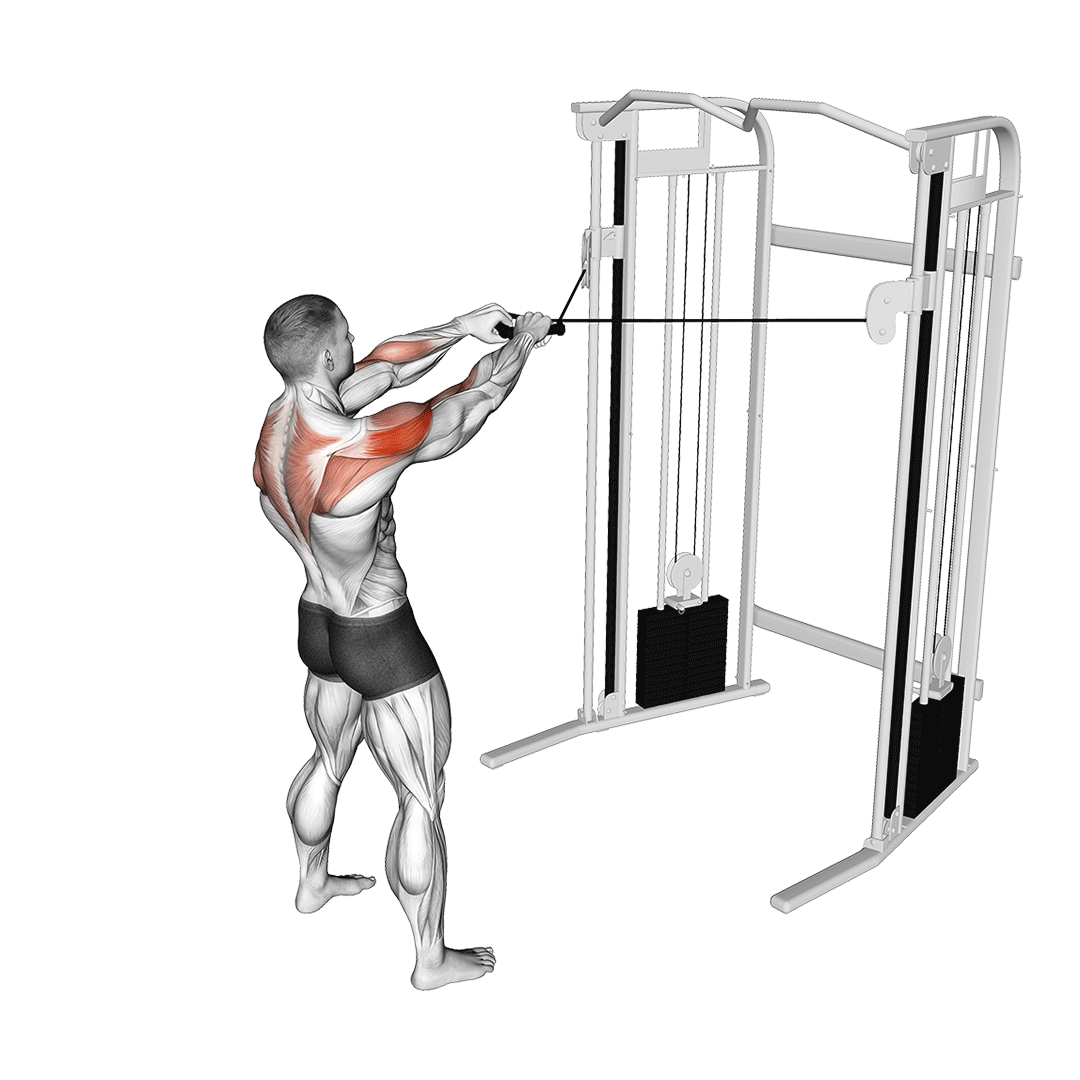 Build Arnold-Inspired Boulder Shoulders with 15 Best Shoulder Exercises (6)