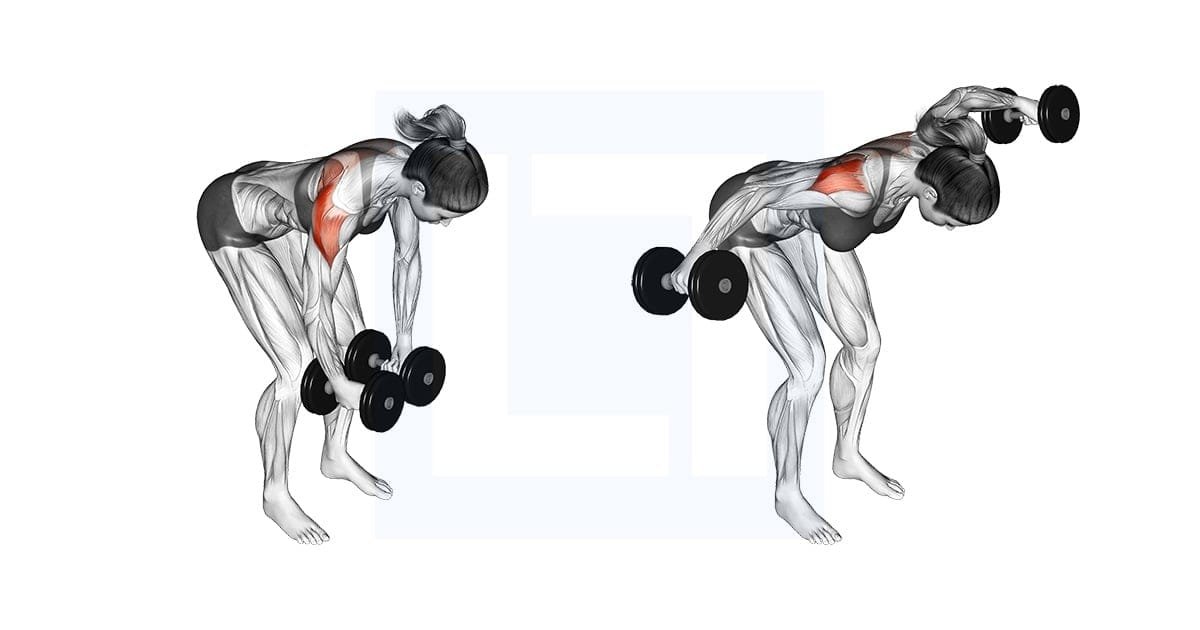 Build Arnold-Inspired Boulder Shoulders with 15 Best Shoulder Exercises (6)