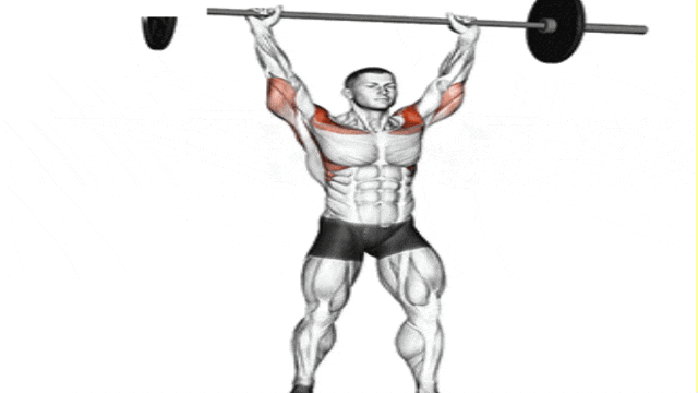 Build Arnold-Inspired Boulder Shoulders with 15 Best Shoulder Exercises (7)