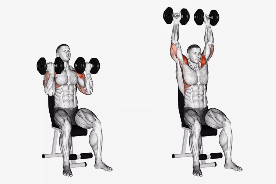 Build Arnold-Inspired Boulder Shoulders with 15 Best Shoulder Exercises (8)
