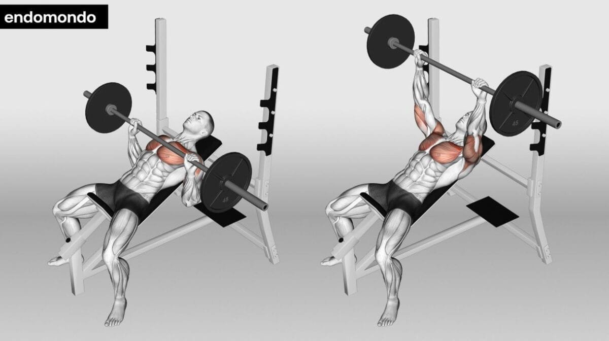 xr:d:DAF7QTxxv8o:126,j:8933307409528746266,t:24020318