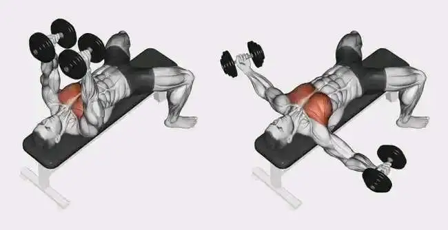 Can You Really Build the Perfect Chest at Home 15-Minute Dumbbell Chest Workout for Beginners (1)