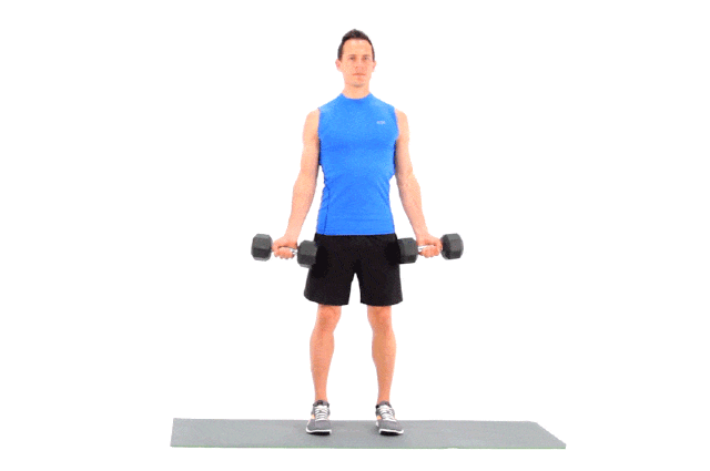 Full-Body Dumbbell Workout for Beginners Comprehensive Guide (1)