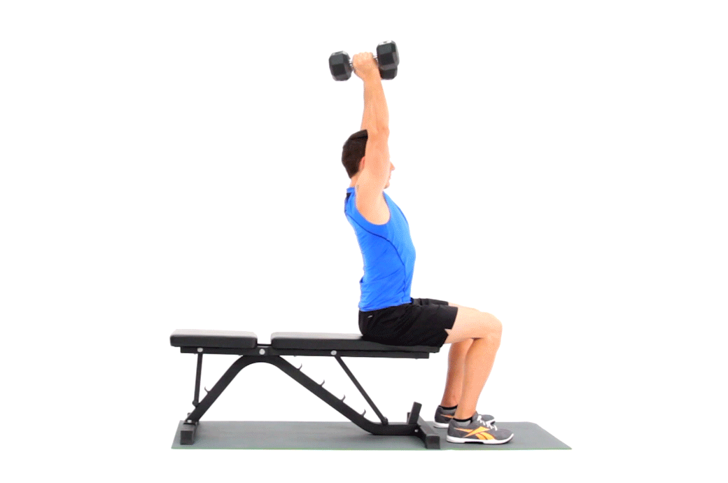 Full-Body Dumbbell Workout for Beginners Comprehensive Guide (14)