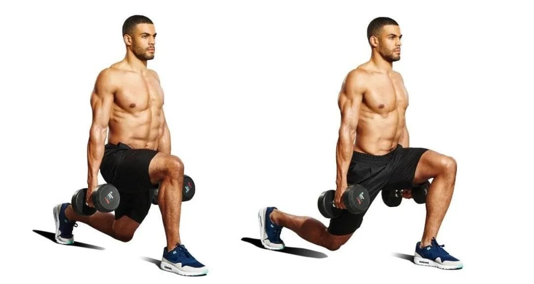 Full-Body Dumbbell Workout for Beginners Comprehensive Guide (2)