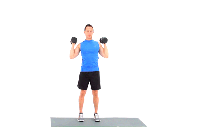 Full-Body Dumbbell Workout for Beginners Comprehensive Guide (5)