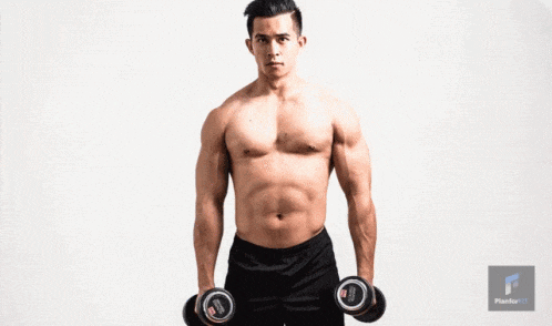 Full-Body Dumbbell Workout for Beginners Comprehensive Guide (6)