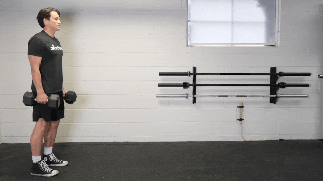 Full-Body Dumbbell Workout for Beginners Comprehensive Guide (8)